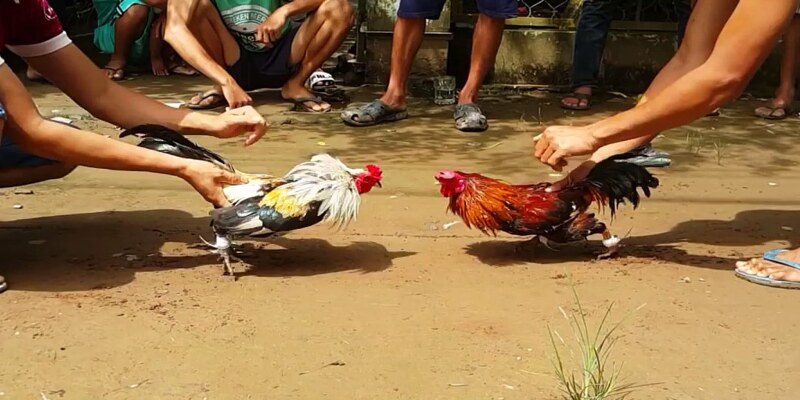 Chia sẻ kinh nghiệm chinh phục sảnh game dễ dàng