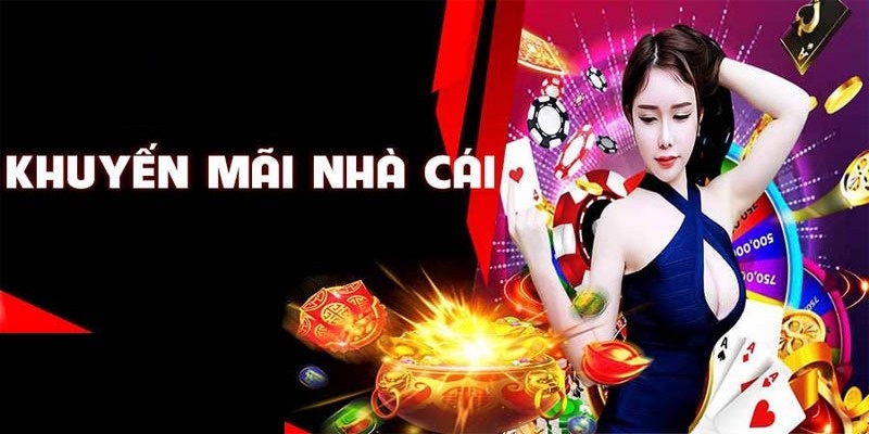 Khuyến mãi dành riêng cho các đại lý Daga
